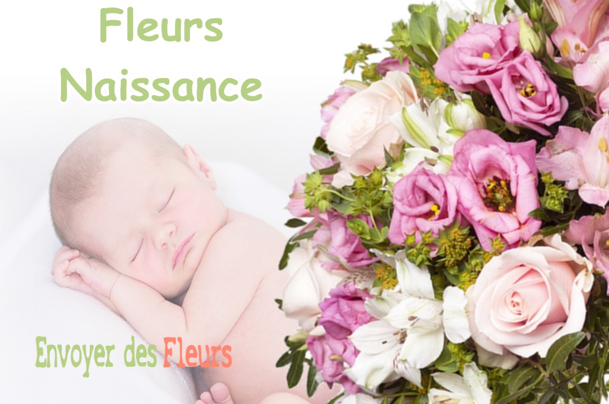 lIVRAISON FLEURS NAISSANCE à CASTILLON-DE-SAINT-MARTORY