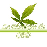 LA BOUTIQUE DU CBD CASTILLON-DE-SAINT-MARTORY 